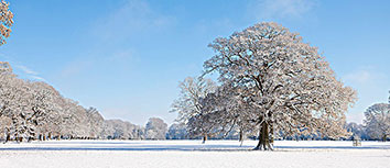 尤文图斯轻取晋级机会，阵容整体出众