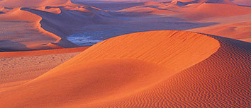 精湛技术表现！球员为队伍带来胜利