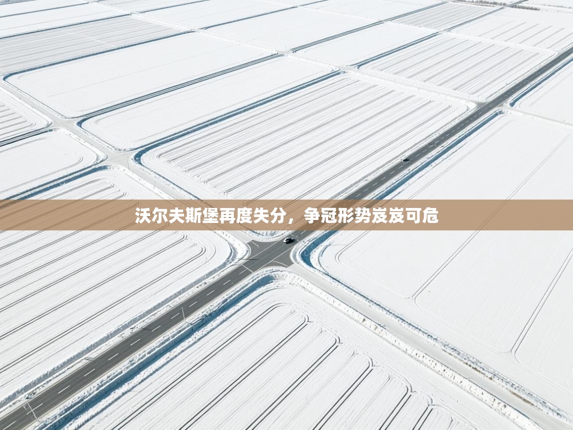 沃尔夫斯堡再度失分，争冠形势岌岌可危